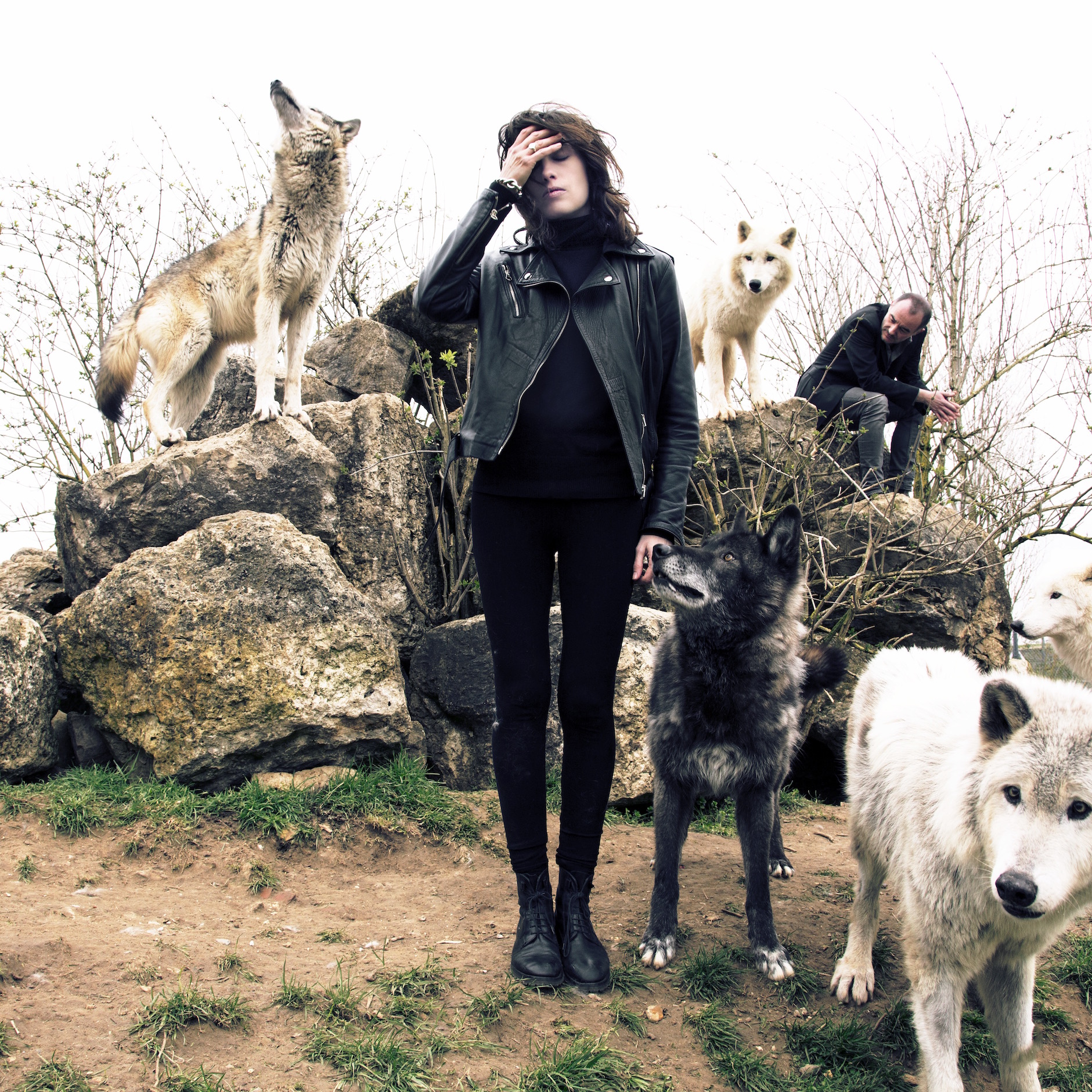 Hum Hum: Blueberries